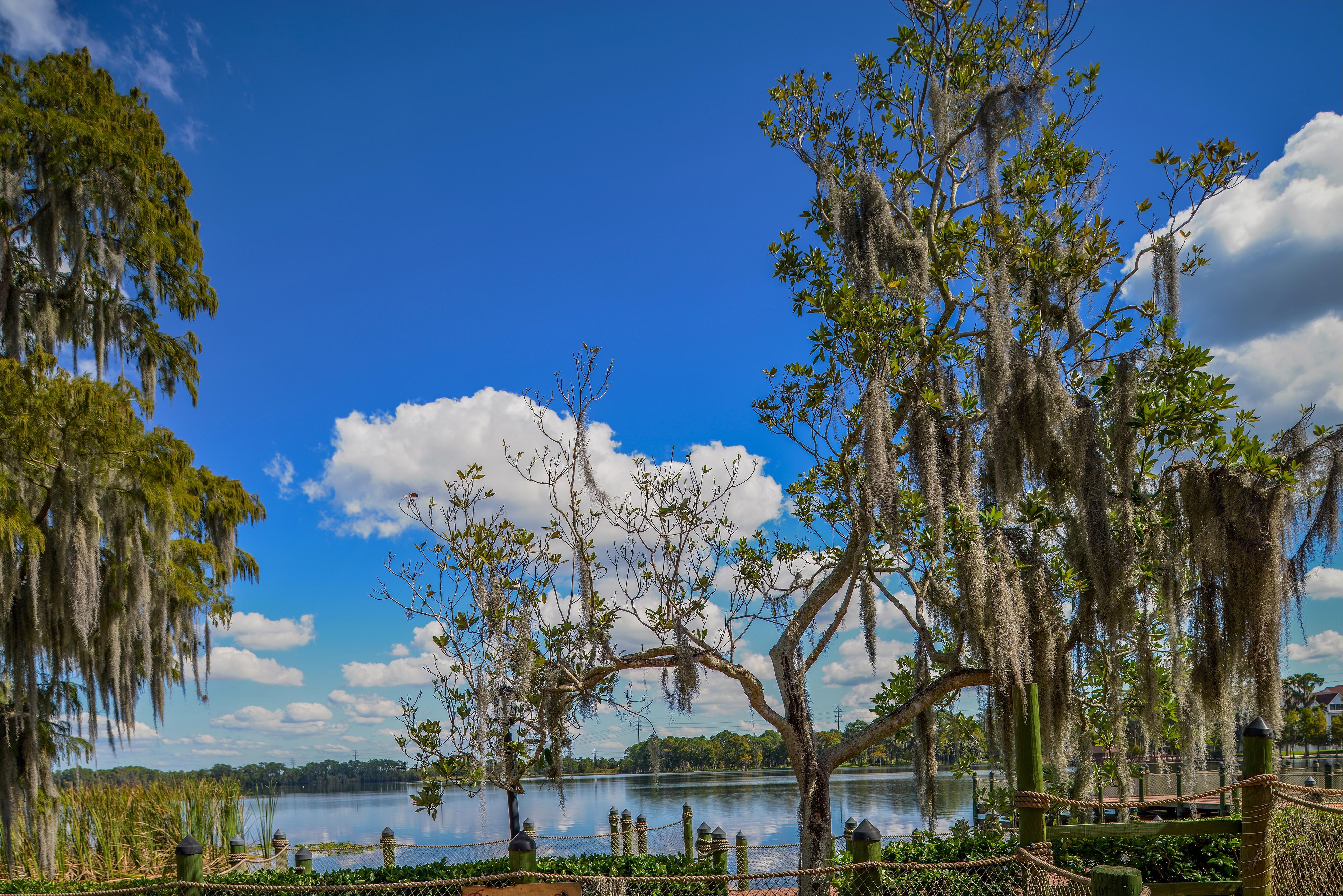 Bryan'S Spanish Cove Lake Buena Vista Esterno foto